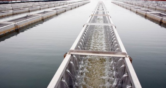 水庫(kù)防洪調(diào)度洪水預(yù)報(bào)系統(tǒng)